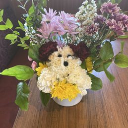 My poodle plant
