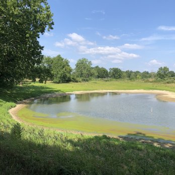 State Arboretum of Virginia - One of the two lakes on the property, glowing with algae! - Parks Near Me - Boyce, Virginia State Arboretum of Virginia - One of the two lakes on the property, glowing with algae! - Parks Near Me - Boyce, Virginia