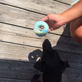 Outer Barks - The cute donut treat! - Pet Stores Near Me - Duck, North Carolina
