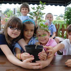 Miami Shores Montessori School