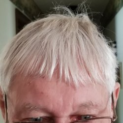 Village Plaza Barber Stylist - $30 haircut
