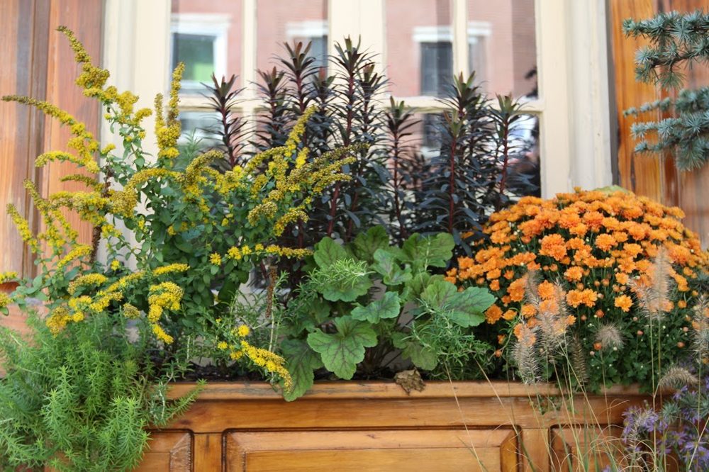 GRACEFUL GARDENS Updated May 2024 Philadelphia, Pennsylvania