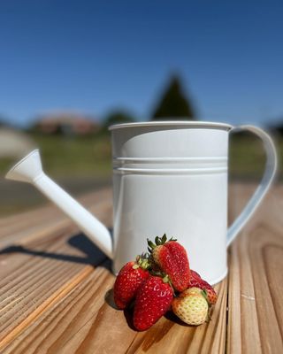 Julian Farm and Orchard by null