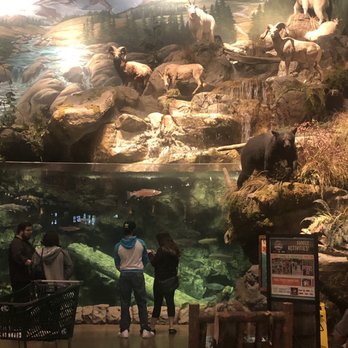 Bass Pro Shops - Fish Tank - Outdoor Gear Near Me - Tacoma, Washington Bass Pro Shops - Fish Tank - Outdoor Gear Near Me - Tacoma, Washington