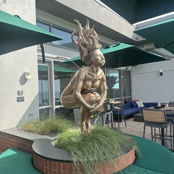 Orion's Roof - Asian Fusion Near Me - Virginia Beach, Virginia Orion's Roof - Asian Fusion Near Me - Virginia Beach, Virginia