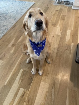 Photo of Norwalk Animal Hospital - Norwalk, CT, US.