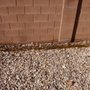 Blue Majestic Home Inspections