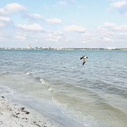 Abu Seba Beach - Abu Seba Beach, Sand Key Island, Intracoastal Waterway, South of Clearwater Beach, Across from Sand Key Park, North of Bellair Beach