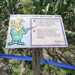 Scott's Maze Adventures