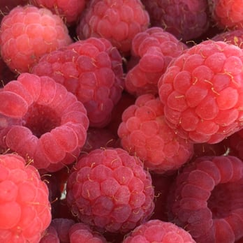 Kern Family Orchard - a bunch of raspberries - Fruits & Veggies Near Me - Raymond, Illinois Kern Family Orchard - a bunch of raspberries - Fruits & Veggies Near Me - Raymond, Illinois