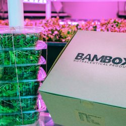 BAMBOX Produce