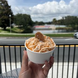 Spagato - Mango Spaghetti Gelato