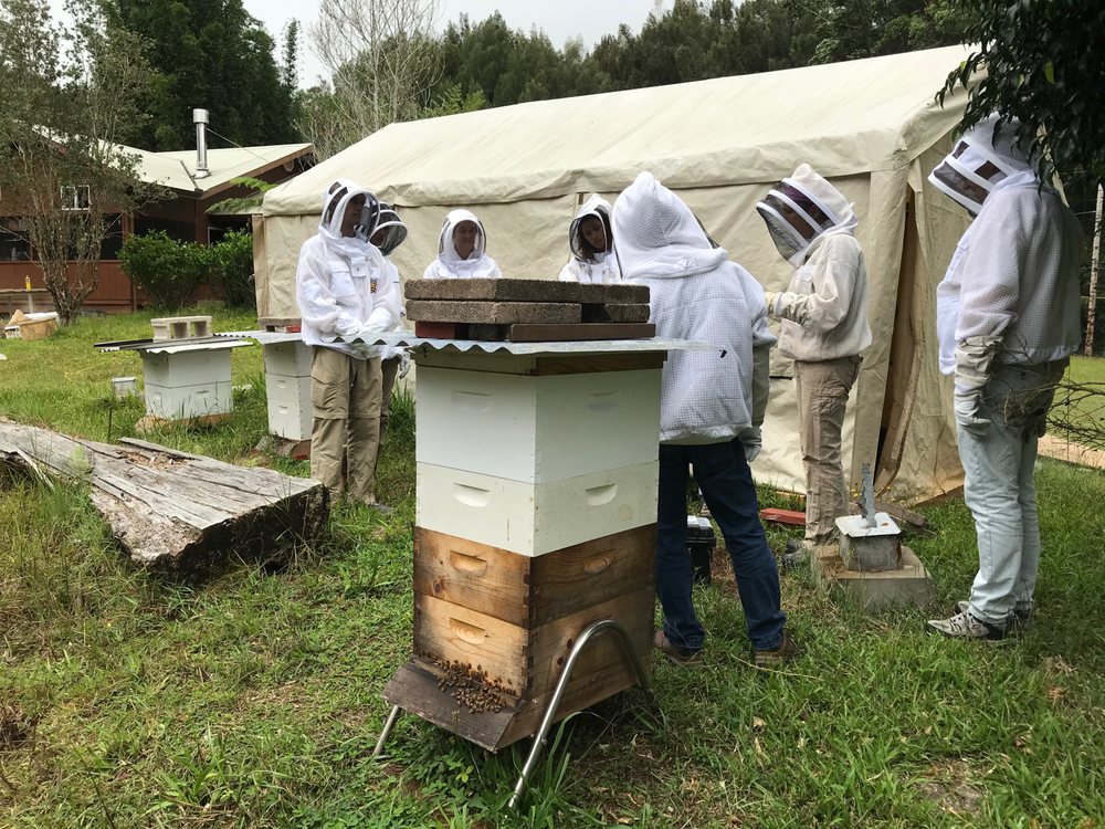 BIRD AND BEE HAWAII Updated June 2024 Honokaa, Hawaii Specialty