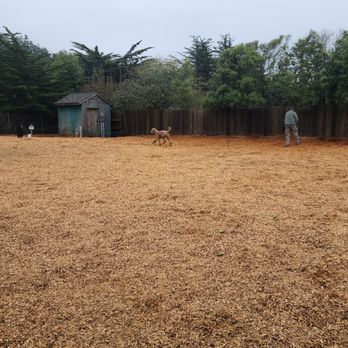 Mendocino Dog Park - Lots of room. - Dog Parks Near Me - Mendocino, California Mendocino Dog Park - Lots of room. - Dog Parks Near Me - Mendocino, California