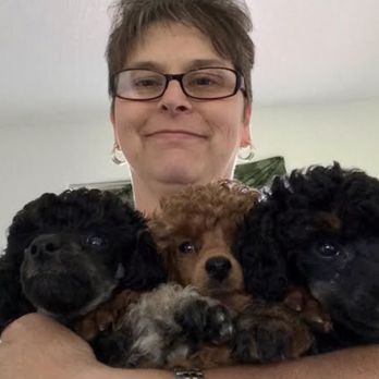 oodles of poodles breeder