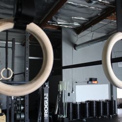 Burbank Strength & Conditioning - Rogue Wood Gymnastics Rings and Rogue Wall Mounted Rigs