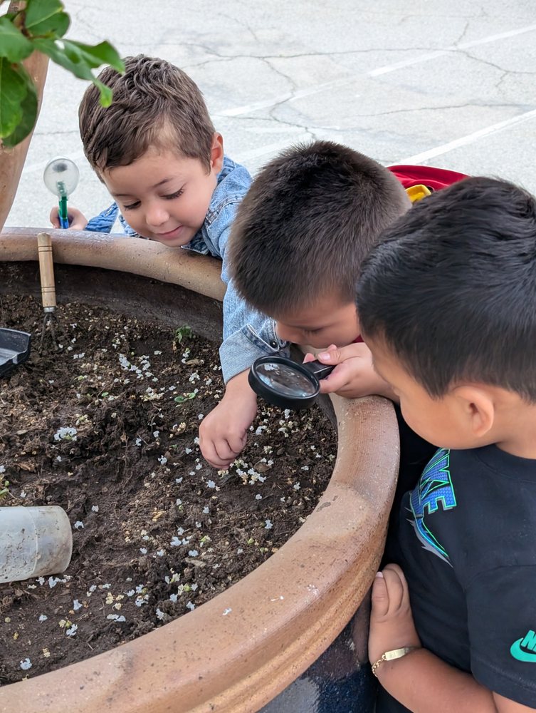 Un Mundo De Amigos Preschool - childcare center in Long Beach, CA