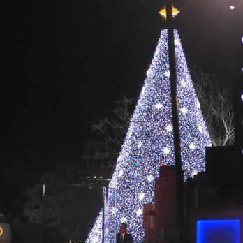 National Christmas Tree - The 2016 tree - Local Flavor Near Me - Washington, DC, District of Columbia National Christmas Tree - The 2016 tree - Local Flavor Near Me - Washington, DC, District of Columbia