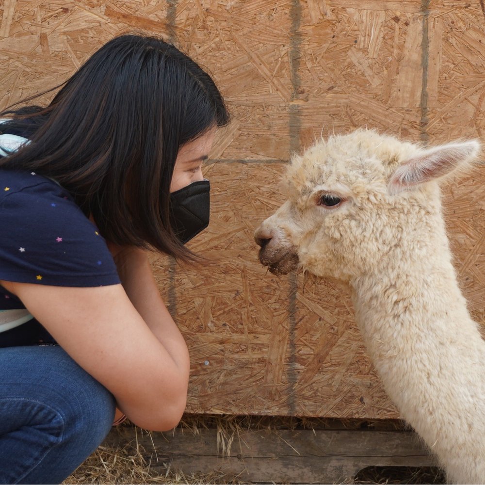 Back-to-Eden Ranch - I love llama! She is so cute! - Attraction Farms Near Me - Gilroy, California