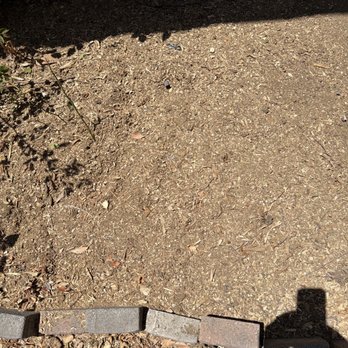 Vazquez tree service - After - Tree Services Near Me - Whittier, California