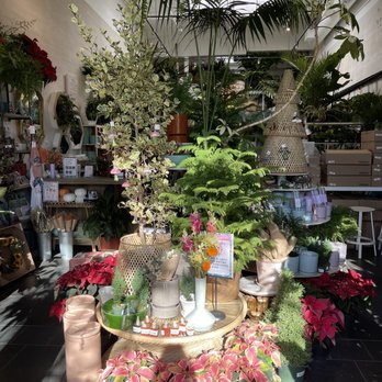 Paraíso Plant Studio - Nurseries & Gardening Near Me - Berkeley, California Paraíso Plant Studio - Nurseries & Gardening Near Me - Berkeley, California