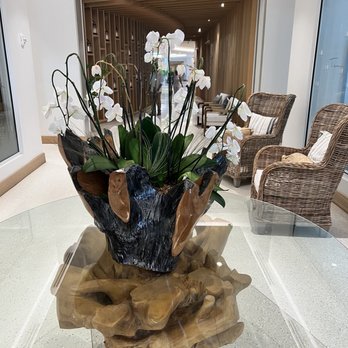 Opal Grand Resort & Spa - Hotels Near Me - Delray Beach, Florida