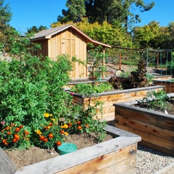 Watersedge Landscape - Back yard vegetable garden at a residential estate in Rancho Santa Fe