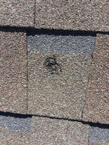 Slide of SoTex Roofing and Exteriors