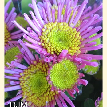 Helensburgh Flowers - Flowers on display - Florists Near Me - Helensburgh, GLG