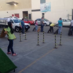 Petique - Entrenando a tu mascota