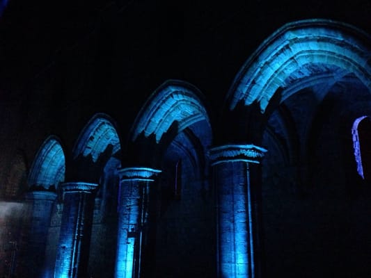 Kirkstall Abbey by null