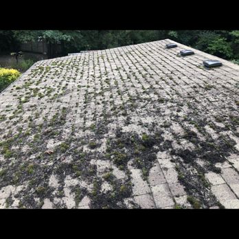 GreenLeaf Property Services - Moss removal by hand, before picture - Roofing Near Me