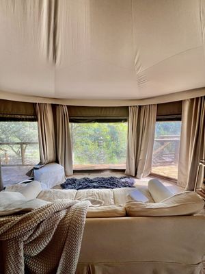 Sinya On Lone Man Creek by null