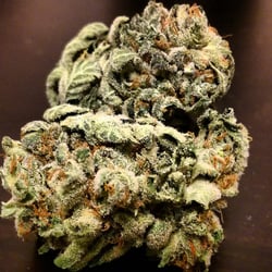 The Hemp Center - Ghost OG