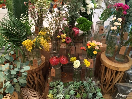 Homecoming by null Homecoming by null