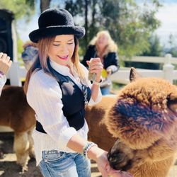 The Alpaca Hacienda