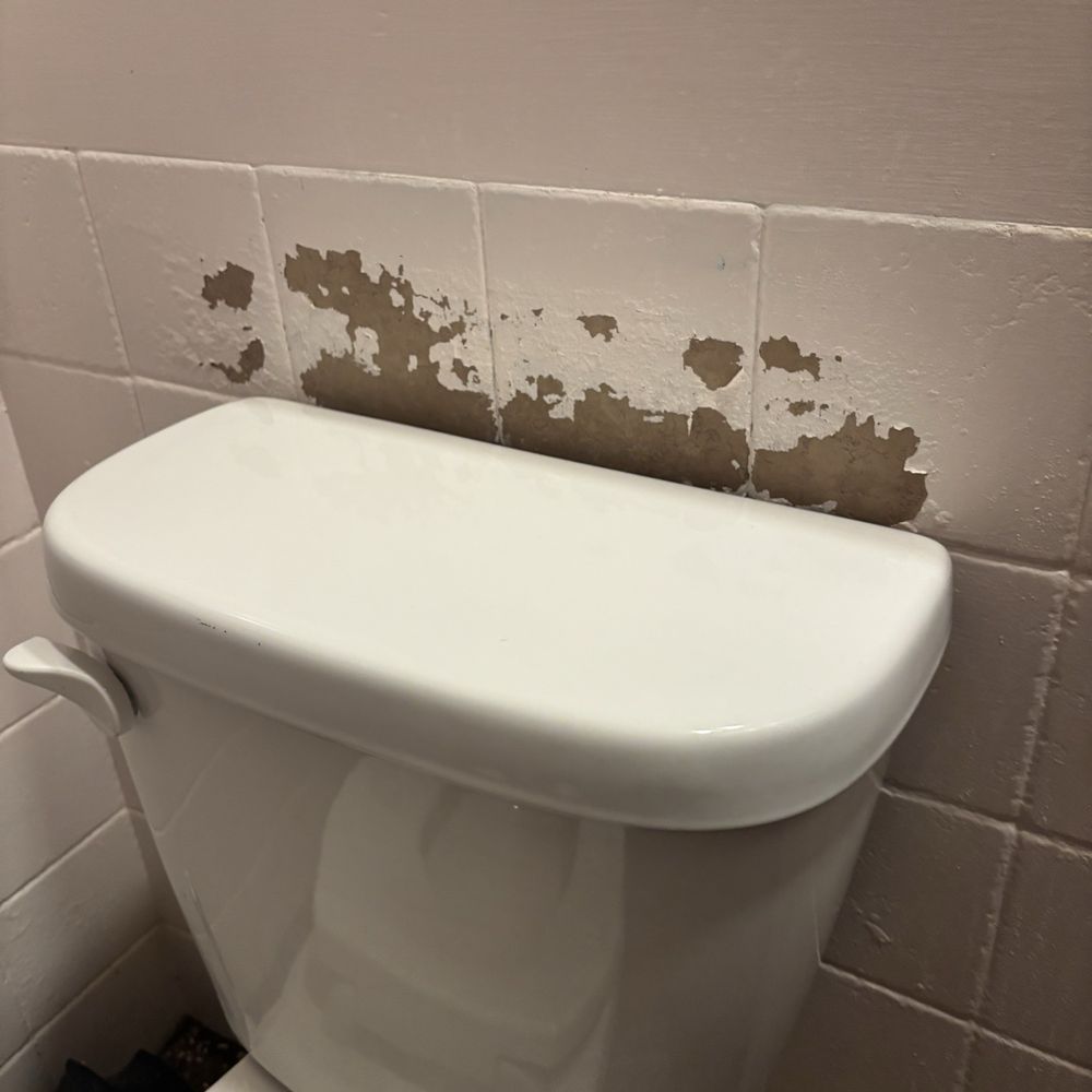 Sweet Grass Dairy - Restroom - Cheese Shops Near Me - Thomasville, Georgia