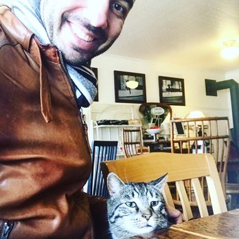 Butterfields Cafe - The cat of the owner of the cafe. Was keeping a great company too. - Cafes Near Me - Deposit, New York