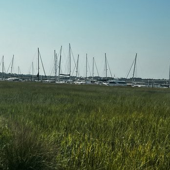 Adventure Sightseeing Tours Corp - The marsh and harbor - Tours Near Me - Charleston, South Carolina