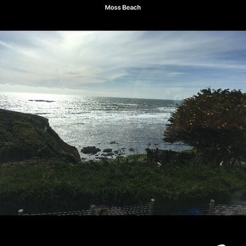 Moss Beach Distillery - View from table (: - Seafood Near Me - Moss Beach, California