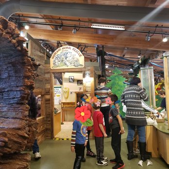Hands On Children's Museum - Animal rescue - Children's Museums Near Me - Olympia, Washington Hands On Children's Museum - Animal rescue - Children's Museums Near Me - Olympia, Washington