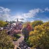 Lycoming College gift card