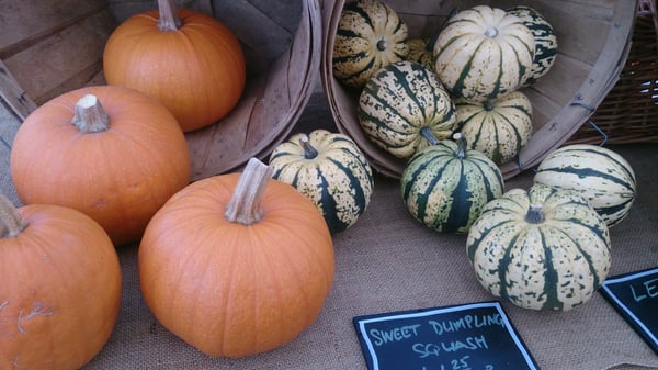 Montavilla Farmers Market by null