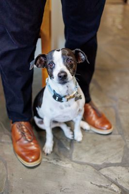 Advanced Professional Services