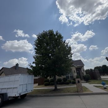 Mondragons Tree Service - Before - Tree Services Near Me