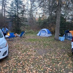 Wildhurst Campgrounds - Campsite