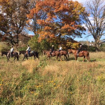 Bar L Stable - Trail ride in the fall - Horseback Riding Near Me - Eyota, Minnesota