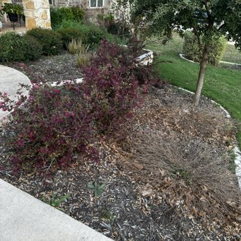 Local Landscape & Design - Before - Landscaping Near Me Local Landscape & Design - Before - Landscaping Near Me