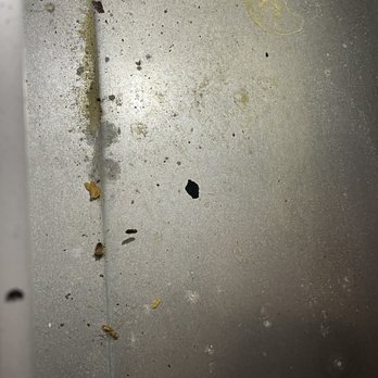 Eagle Pines - dead bugs on the stove - Apartments Near Me - Tallahassee, Florida Eagle Pines - dead bugs on the stove - Apartments Near Me - Tallahassee, Florida