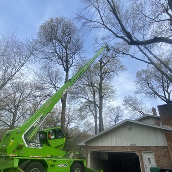 Higher Ground Tree Care - Merlo removal - Tree Services Near Me - Granger, Indiana Higher Ground Tree Care - Merlo removal - Tree Services Near Me - Granger, Indiana